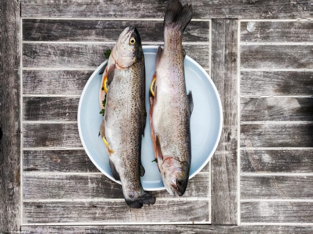 Vitamin D finnes i fete fiskeslag 